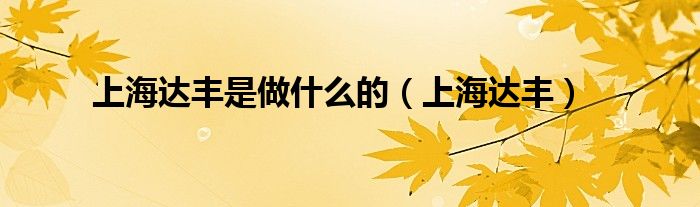 上海达丰是做什么的（上海达丰）