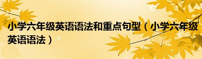 小学六年级英语语法和重点句型（小学六年级英语语法）