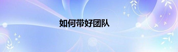 如何带好团队