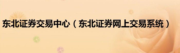 东北证券交易中心（东北证券网上交易系统）