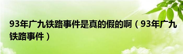 93年广九铁路事件是真的假的啊（93年广九铁路事件）