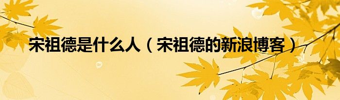 宋祖德是什么人（宋祖德的新浪博客）