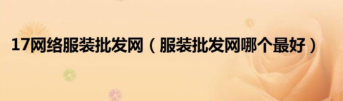 17网络服装批发网（服装批发网哪个最好）
