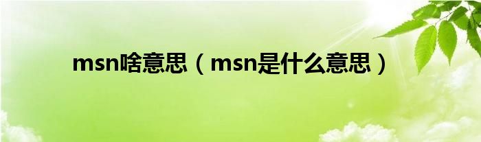 msn啥意思（msn是什么意思）