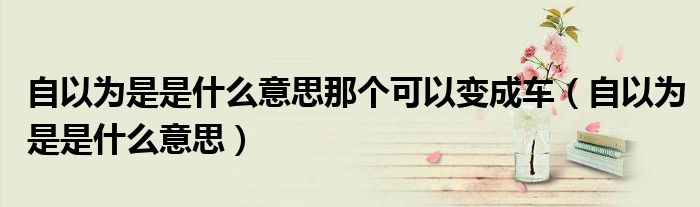 自以为是是什么意思那个可以变成车（自以为是是什么意思）
