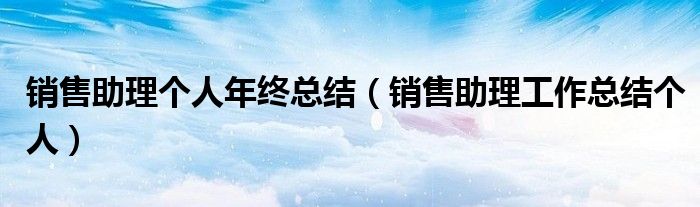 销售助理个人年终总结（销售助理工作总结个人）