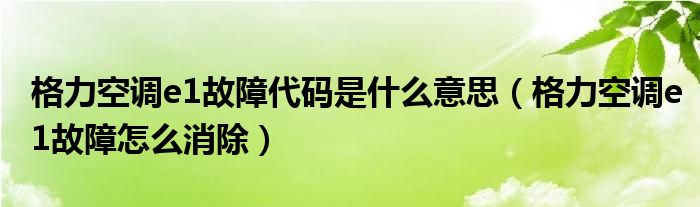 格力空调e1故障代码是什么意思（格力空调e1故障怎么消除）