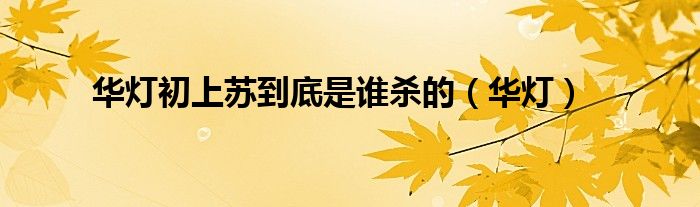 华灯初上苏到底是谁杀的（华灯）