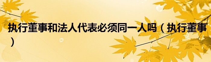 执行董事和法人代表必须同一人吗（执行董事）