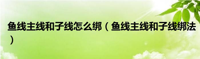 鱼线主线和子线怎么绑（鱼线主线和子线绑法）
