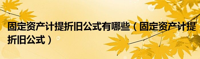 固定资产计提折旧公式有哪些（固定资产计提折旧公式）