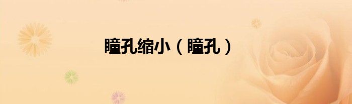 瞳孔缩小（瞳孔）