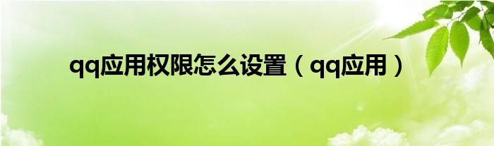 qq应用权限怎么设置（qq应用）