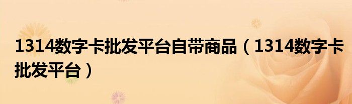 1314数字卡批发平台自带商品（1314数字卡批发平台）