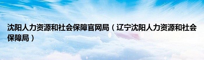 沈阳人力资源和社会保障官网局（辽宁沈阳人力资源和社会保障局）