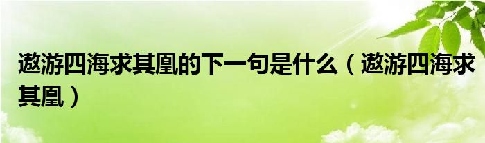 遨游四海求其凰的下一句是什么（遨游四海求其凰）