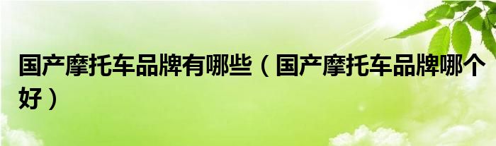 国产摩托车品牌有哪些（国产摩托车品牌哪个好）