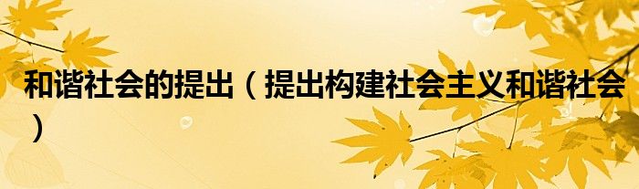 和谐社会的提出（提出构建社会主义和谐社会）
