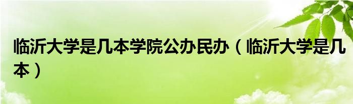 临沂大学是几本学院公办民办（临沂大学是几本）