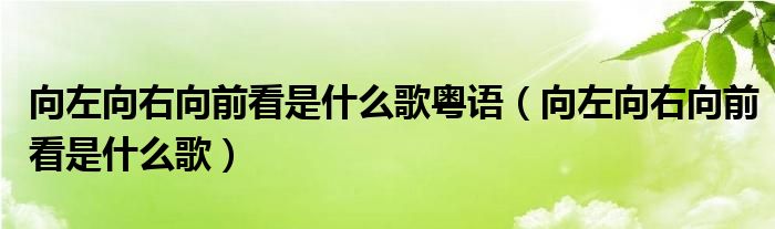 向左向右向前看是什么歌粤语（向左向右向前看是什么歌）
