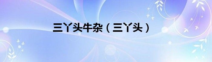 三丫头牛杂（三丫头）