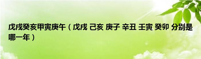 戊戌癸亥甲寅庚午（戊戌 己亥 庚子 辛丑 壬寅 癸卯 分别是哪一年）