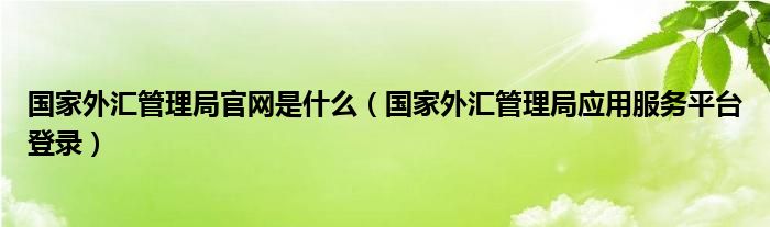 国家外汇管理局官网是什么（国家外汇管理局应用服务平台登录）