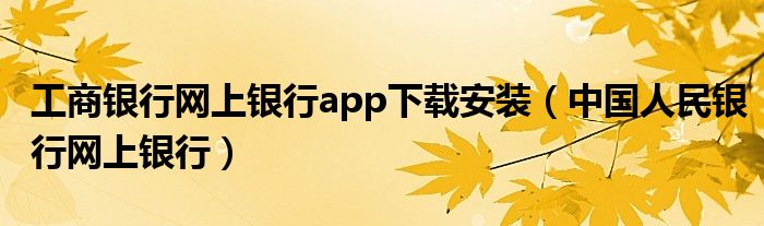 工商银行网上银行app下载安装（中国人民银行网上银行）