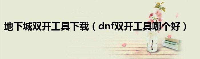 地下城双开工具下载（dnf双开工具哪个好）