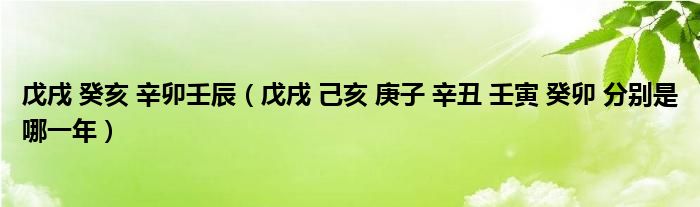 戊戌 癸亥 辛卯壬辰（戊戌 己亥 庚子 辛丑 壬寅 癸卯 分别是哪一年）