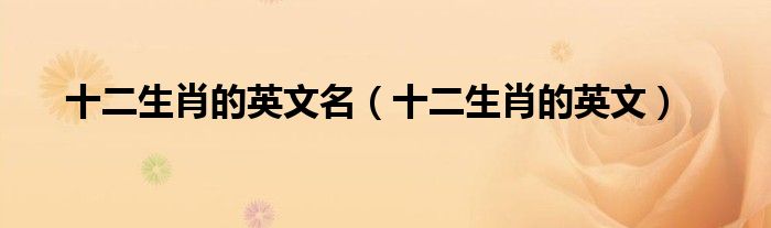 十二生肖的英文名（十二生肖的英文）