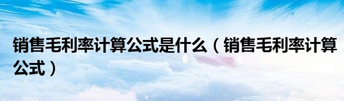 销售毛利率计算公式是什么（销售毛利率计算公式）