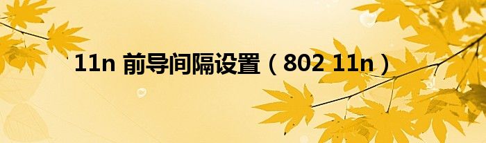 11n 前导间隔设置（802 11n）