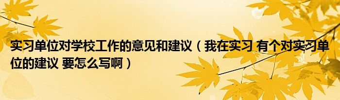 实习单位对学校工作的意见和建议（我在实习 有个对实习单位的建议 要怎么写啊）