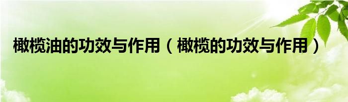 橄榄油的功效与作用（橄榄的功效与作用）
