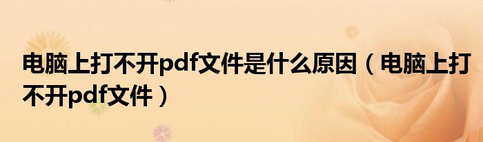 电脑上打不开pdf文件是什么原因（电脑上打不开pdf文件）