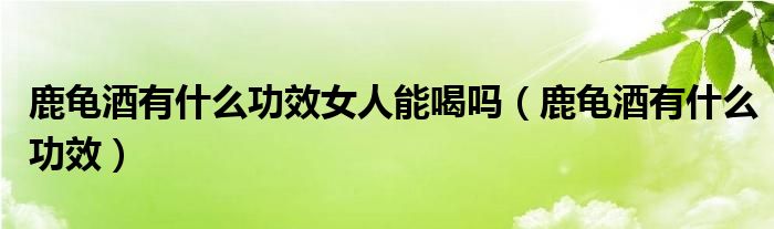 鹿龟酒有什么功效女人能喝吗（鹿龟酒有什么功效）