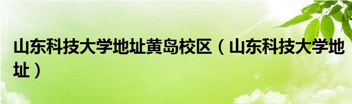 山东科技大学地址黄岛校区（山东科技大学地址）