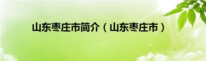 山东枣庄市简介（山东枣庄市）