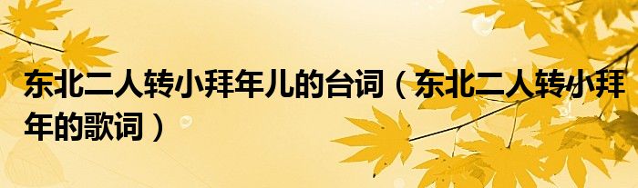 东北二人转小拜年儿的台词（东北二人转小拜年的歌词）