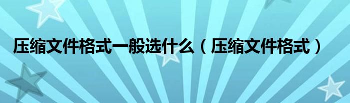 压缩文件格式一般选什么（压缩文件格式）