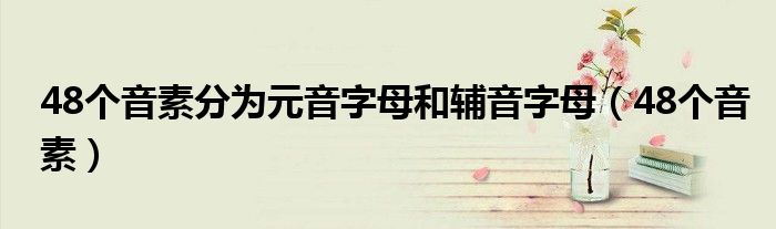 48个音素分为元音字母和辅音字母（48个音素）