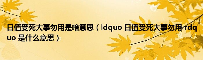 日值受死大事勿用是啥意思（ldquo 日值受死大事勿用 rdquo 是什么意思）
