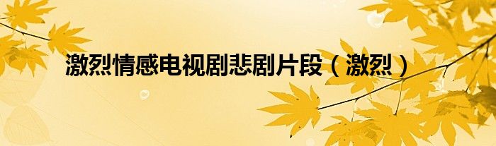 激烈情感电视剧悲剧片段（激烈）