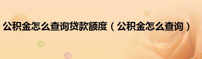 公积金怎么查询贷款额度（公积金怎么查询）