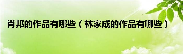 肖邦的作品有哪些（林家成的作品有哪些）