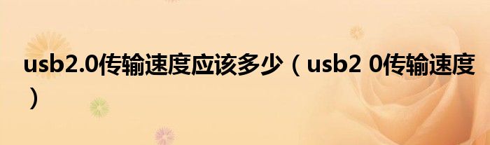 usb2.0传输速度应该多少（usb2 0传输速度）