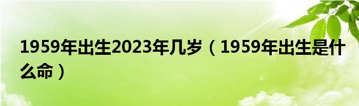 1959年出生2023年几岁（1959年出生是什么命）