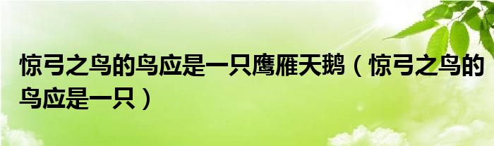 惊弓之鸟的鸟应是一只鹰雁天鹅（惊弓之鸟的鸟应是一只）
