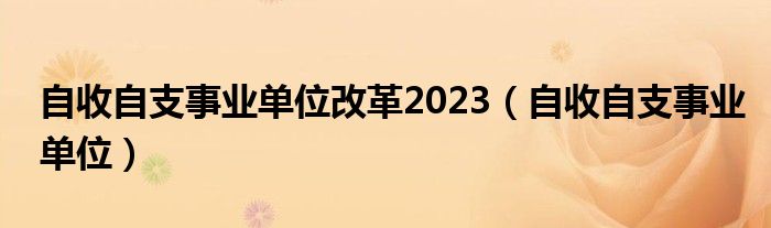 自收自支事业单位改革2023（自收自支事业单位）
